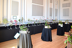 TIMELESS TACOMA TREASURES